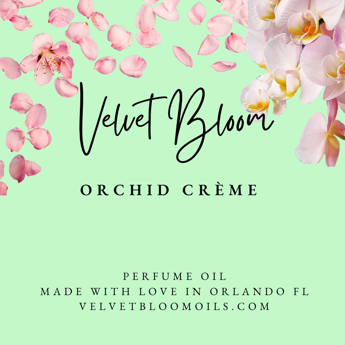 Orchid crème