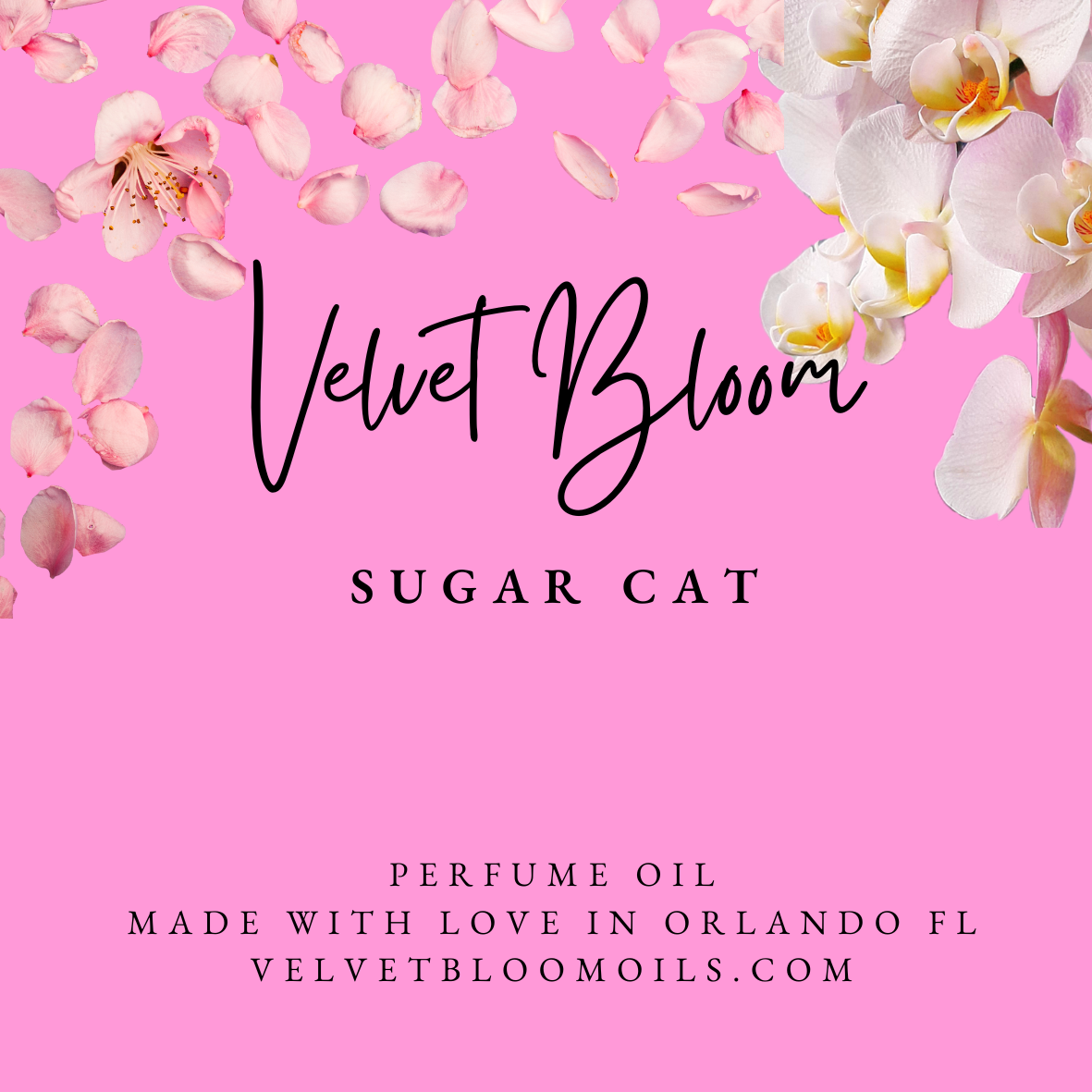 Sugar Cat