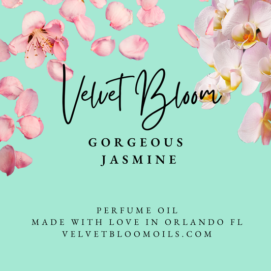 Gorgeous Jasmine